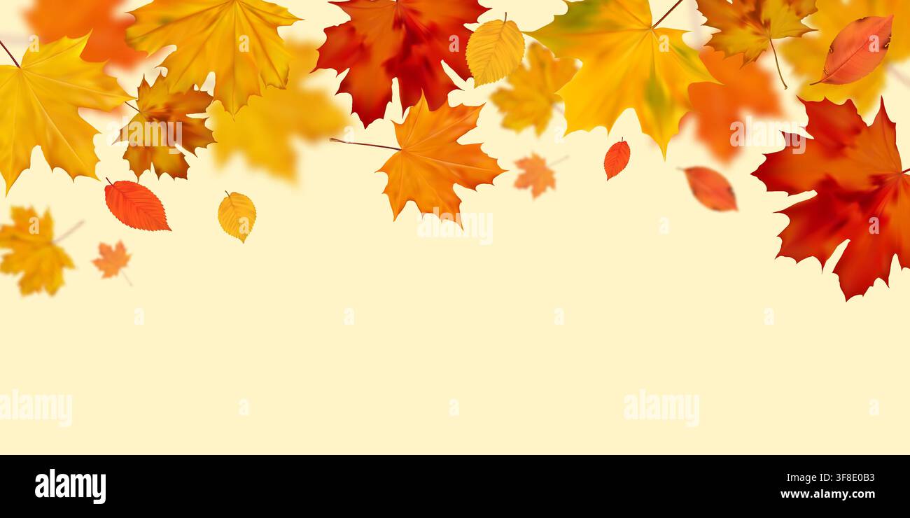 Autumn Leaves Border Background Stock Vector