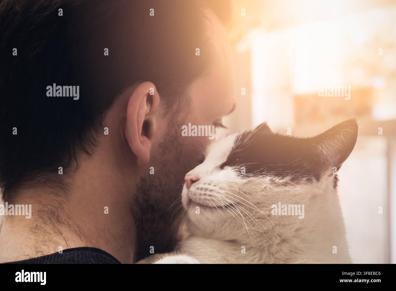 Closeup of a black and white cat cuddled by a beard man. Love relationship between human and cat Stock Photo