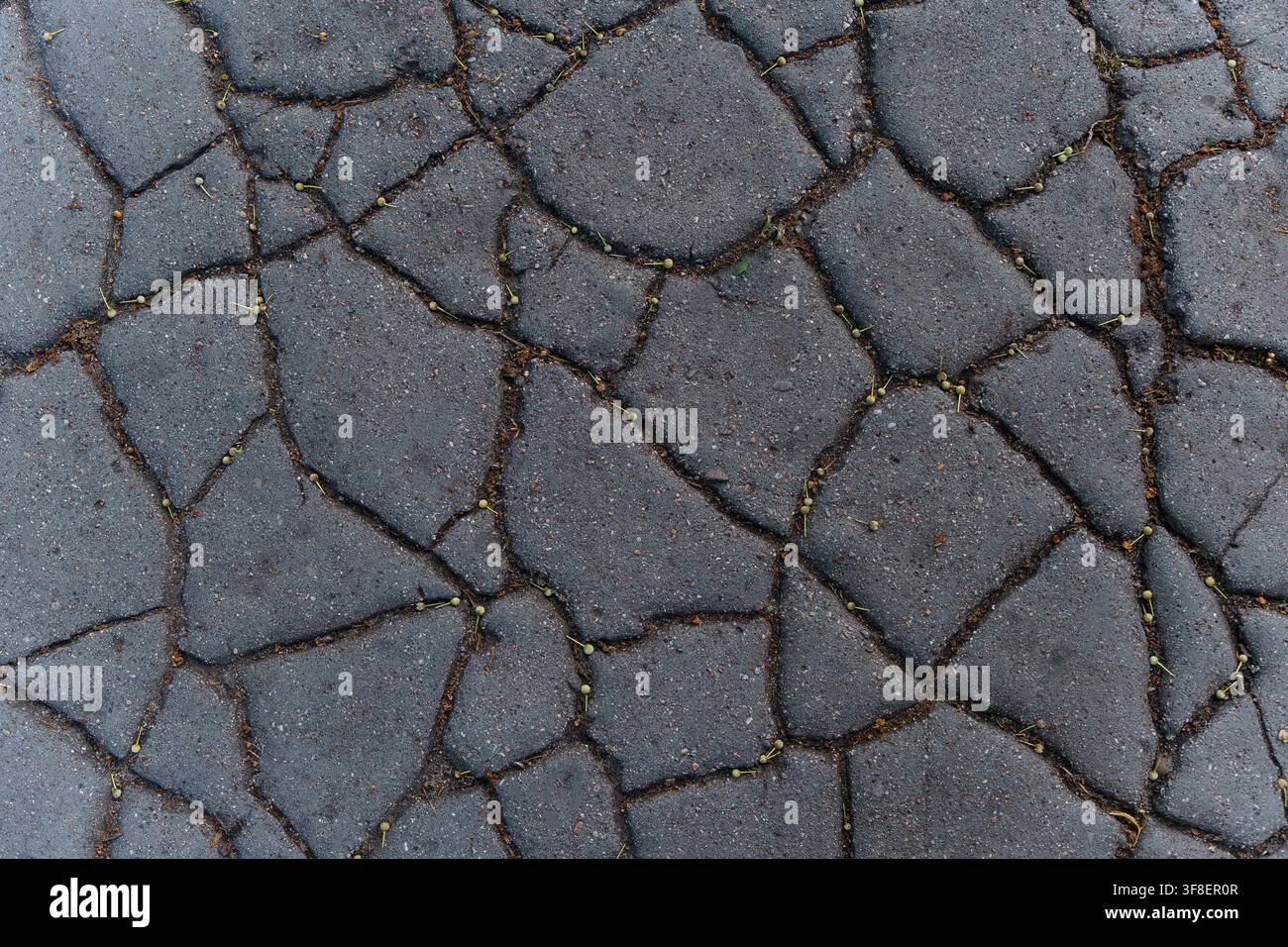 Cracked dark asphalt road texture, showing deep fissures and weathered surface patterns for industrial design backdrops, urban decay and weathered ground background Stock Photo