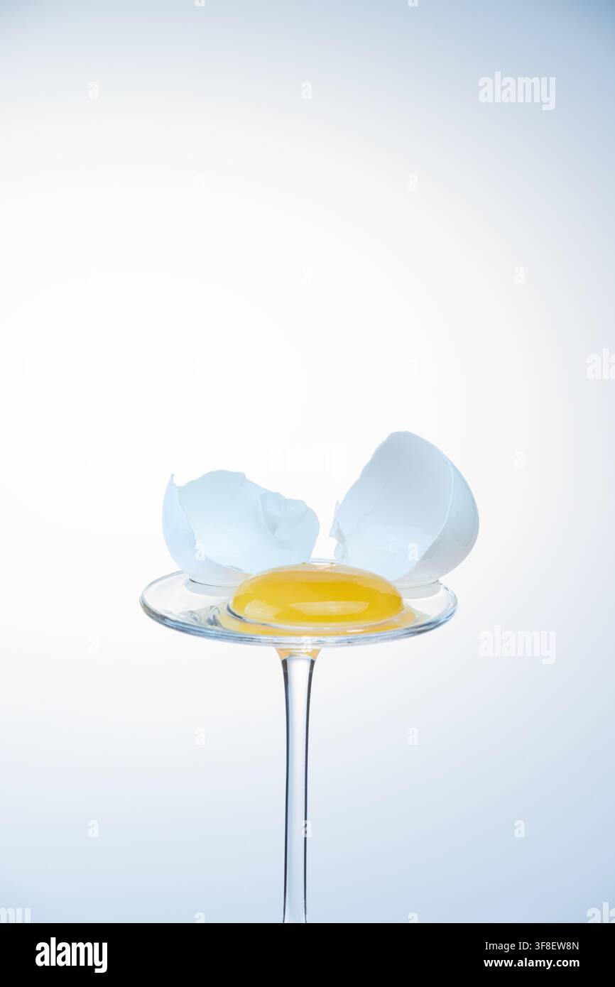 Egg yolk on a glass coupe with small cracked shell halves, soft blue gradient background Stock Photo