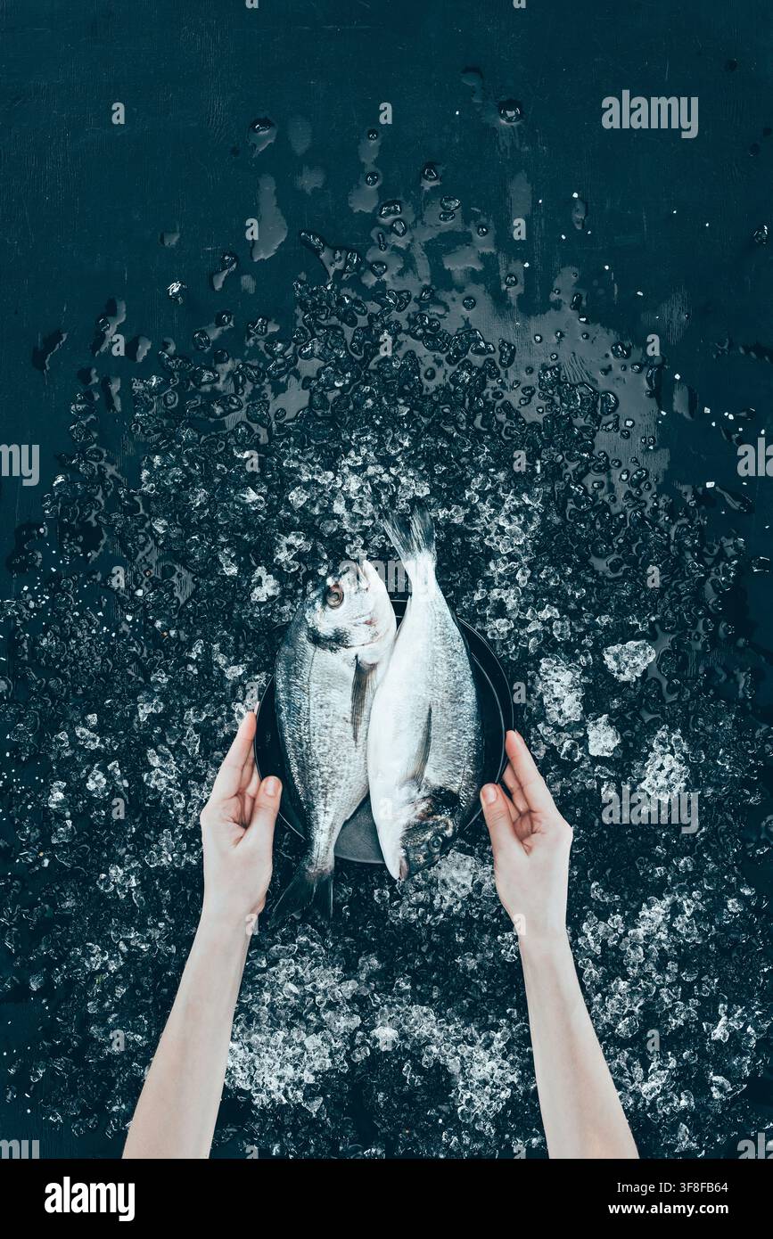 Fresh sea bream on ice Stock Photo