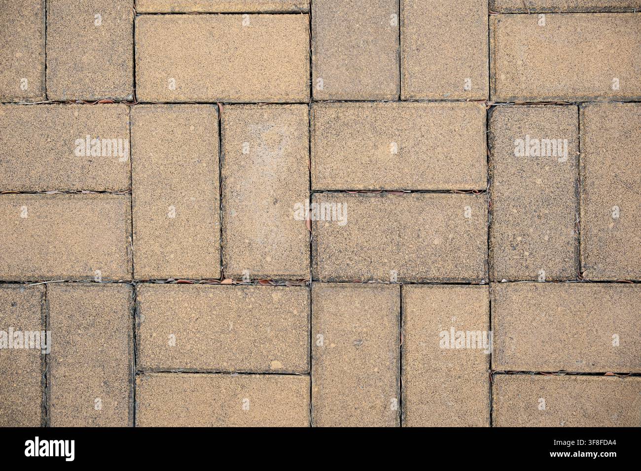 Paving stone texture with yellow rectangular interlocking bricks in a herringbone pattern Stock Photo
