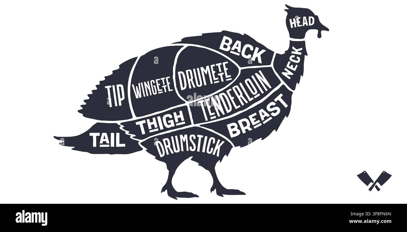 Turkey, poultry, hand-drawn butcher cuts Stock Vector