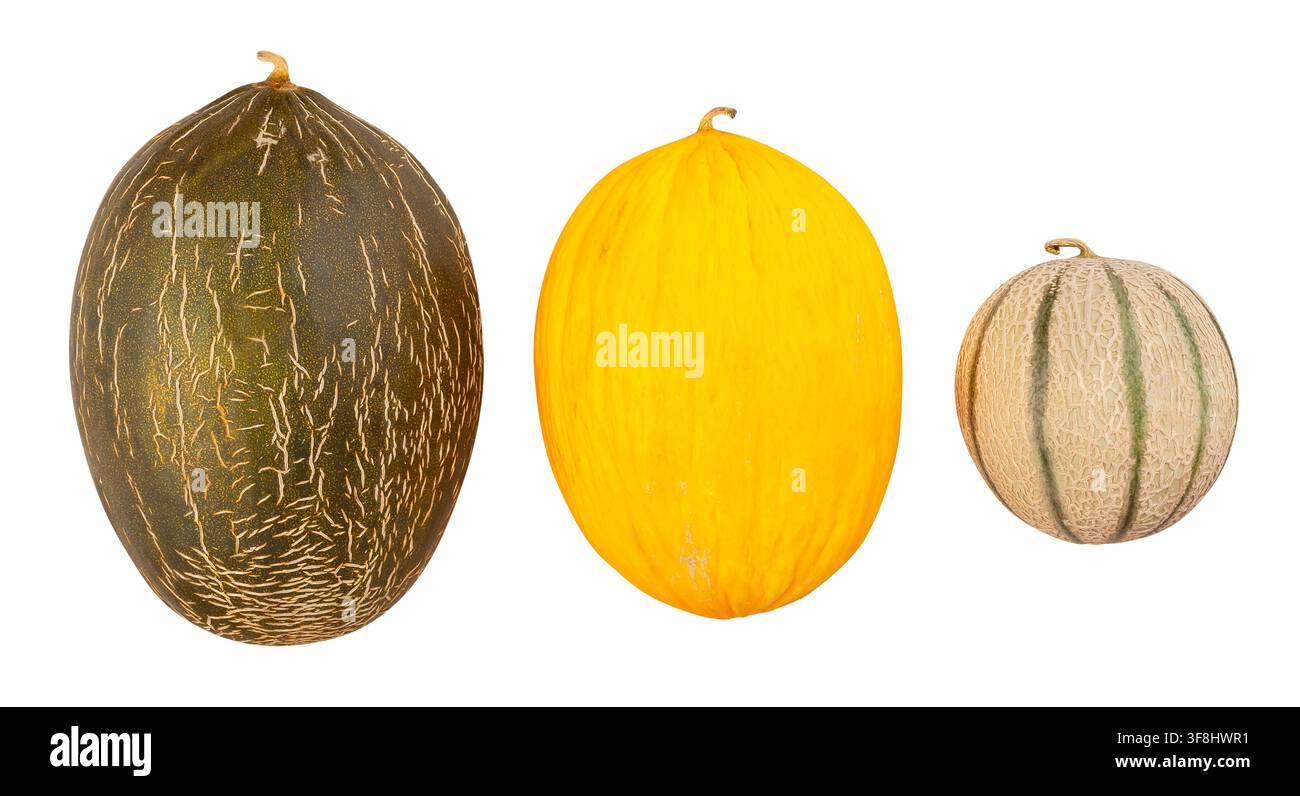 various melons path isolated on white Stock Photo