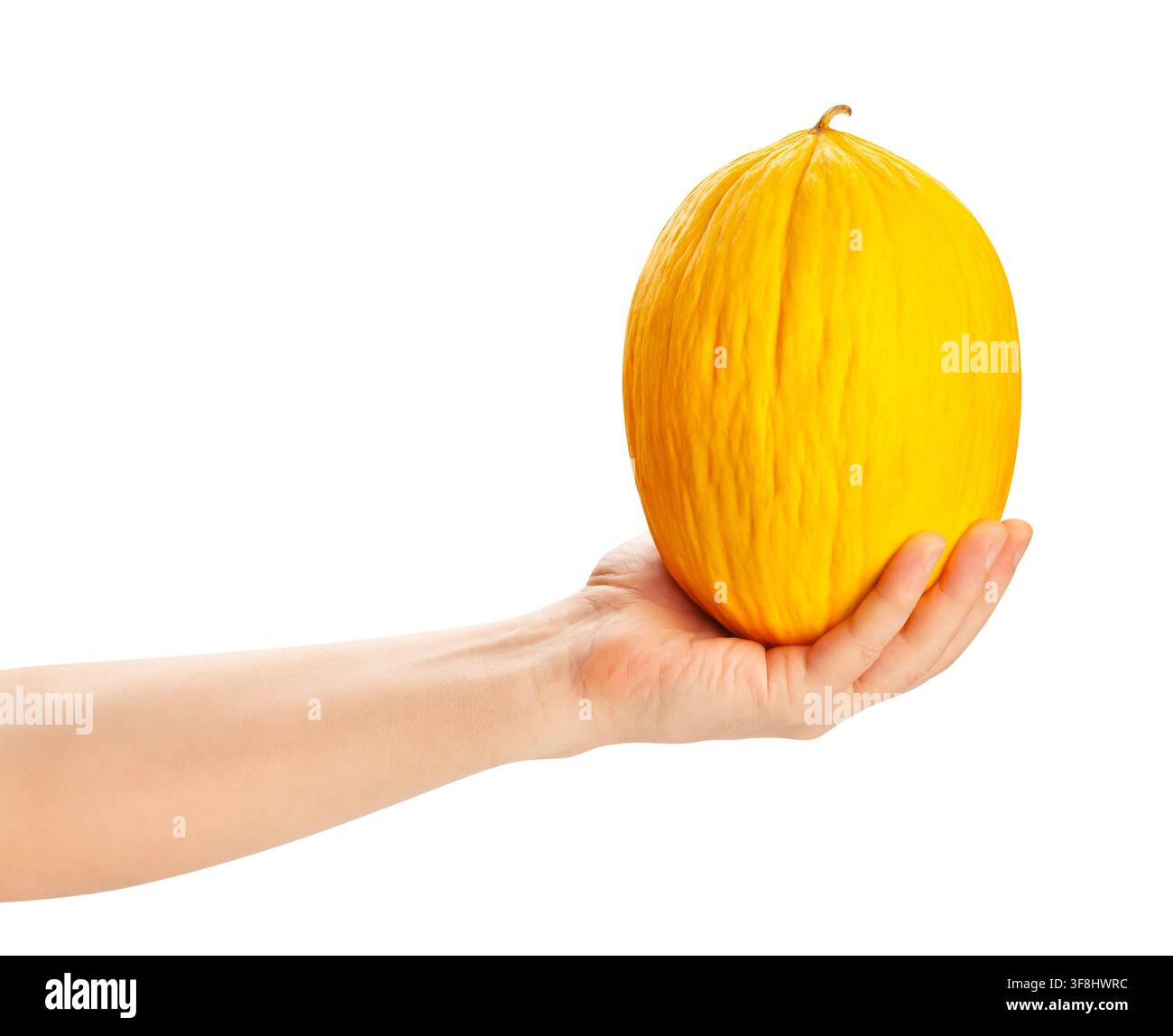 casaba melon in hand path isolated on white Stock Photo