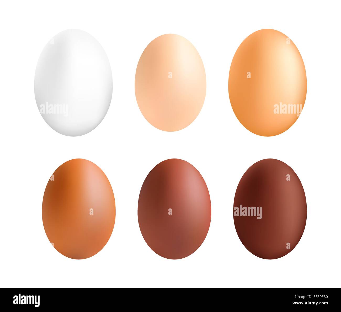 Chicken eggs showcasing diverse colors and shell tones Stock Vector