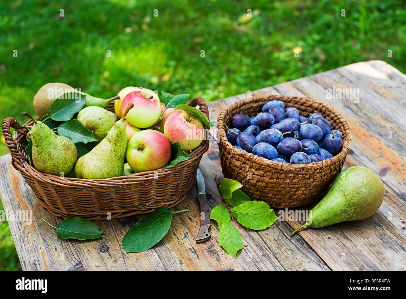 Basket with plums hi-res stock photography and images - Alamy