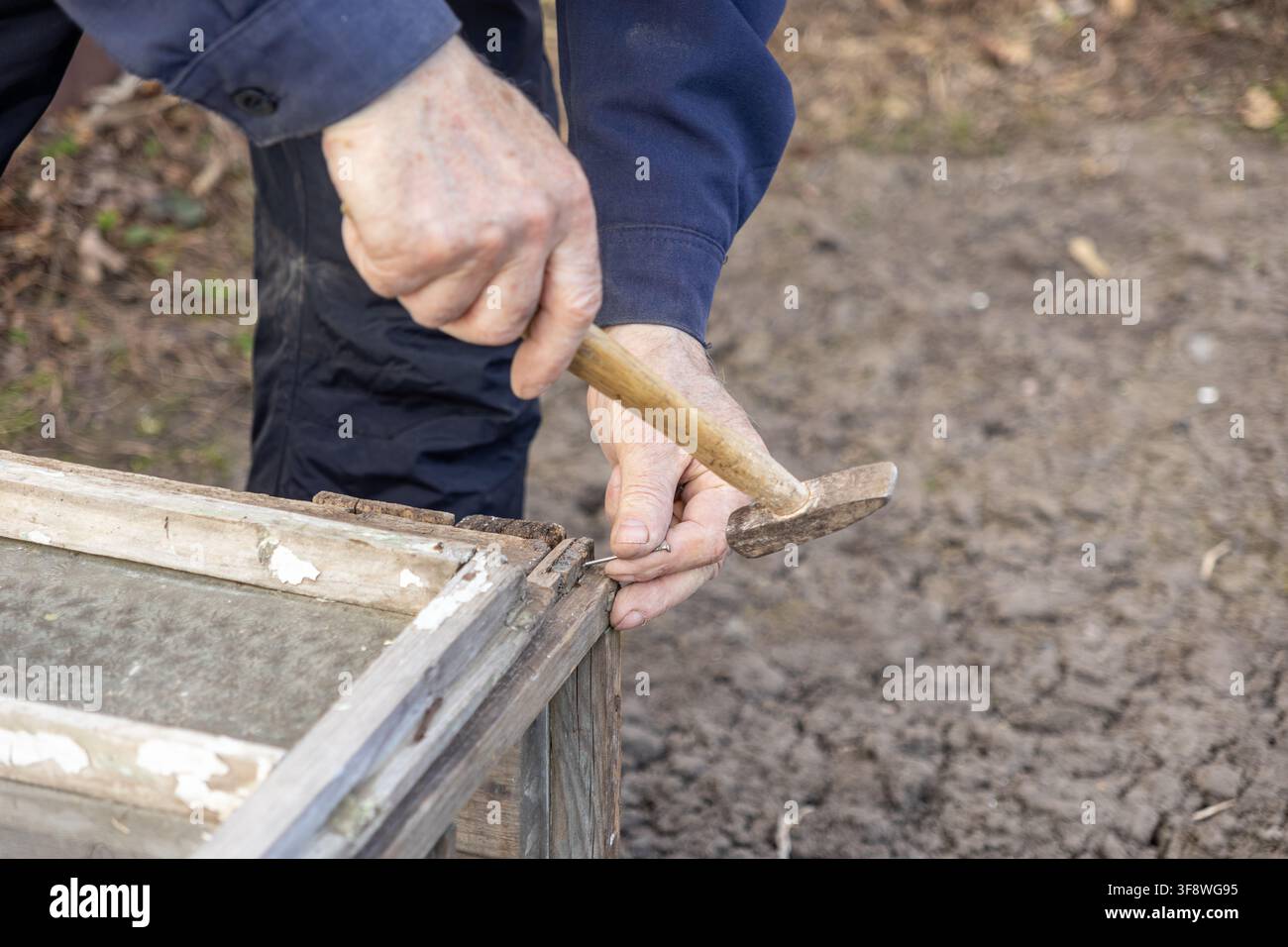 Close view of hands using a hand tool to fix old timber joinery in a rustic outdoor workspace, capturing the essence of home maintenance, DIY construc Stock Photo