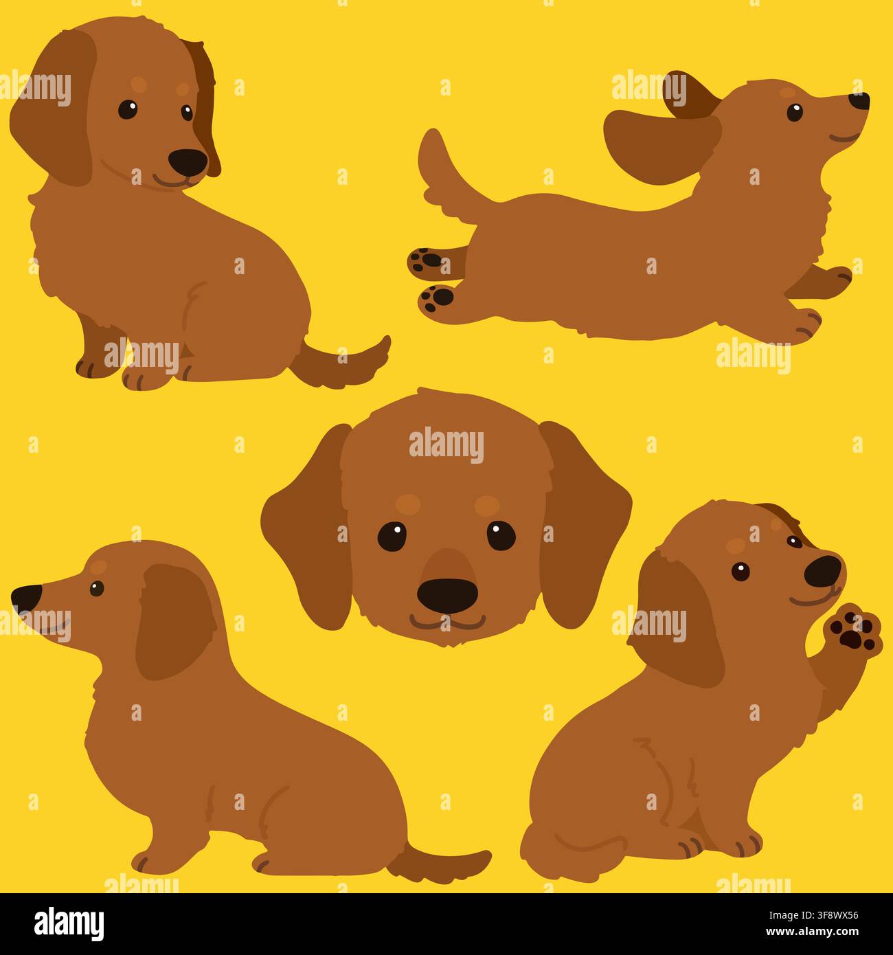 Set of flat colored adorable red Miniature Dachshund illustrations Stock Vector