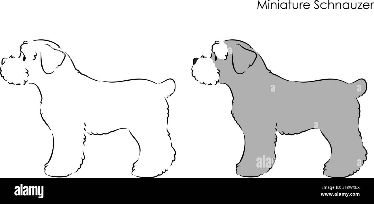 Miniature Schnauzer side view standing Stock Vector