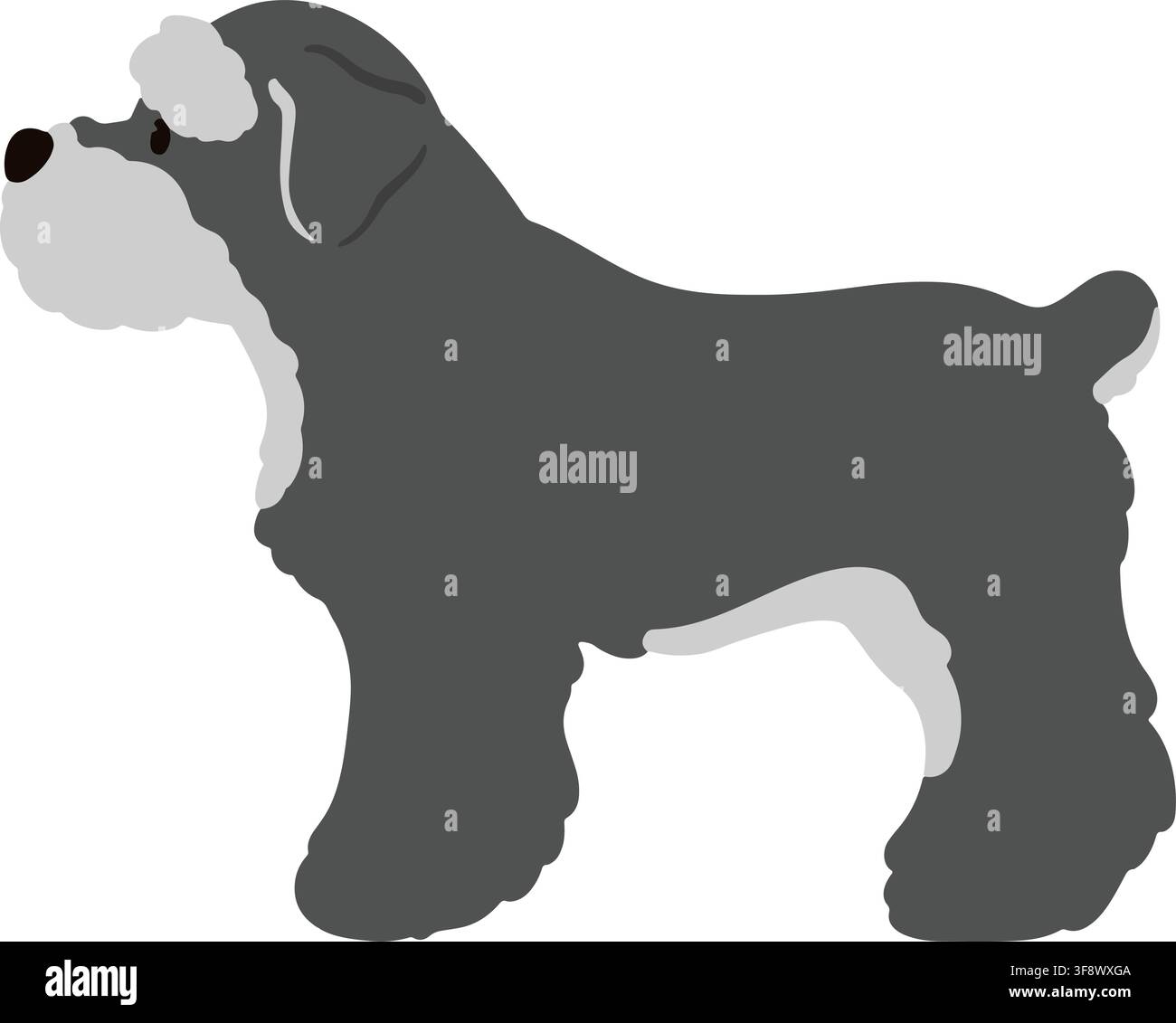 Miniature Schnauzer side view standing flat colored Stock Vector