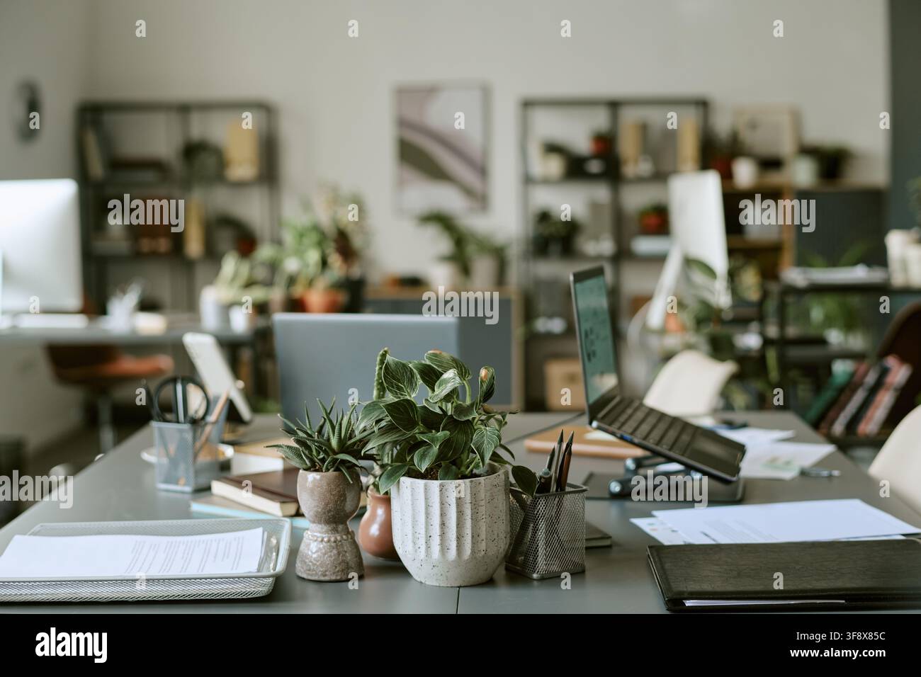 Empty Modern Office Desks with Laptops and Plants Stock Photo