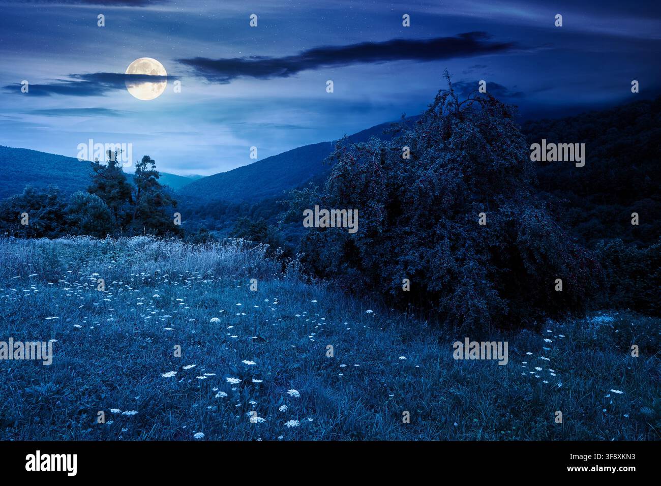 rural mountain landscape of ukraine at night. countryside scenery of transcarpathia in summer. forested hills and grassy meadows under dark sky in ful Stock Photo