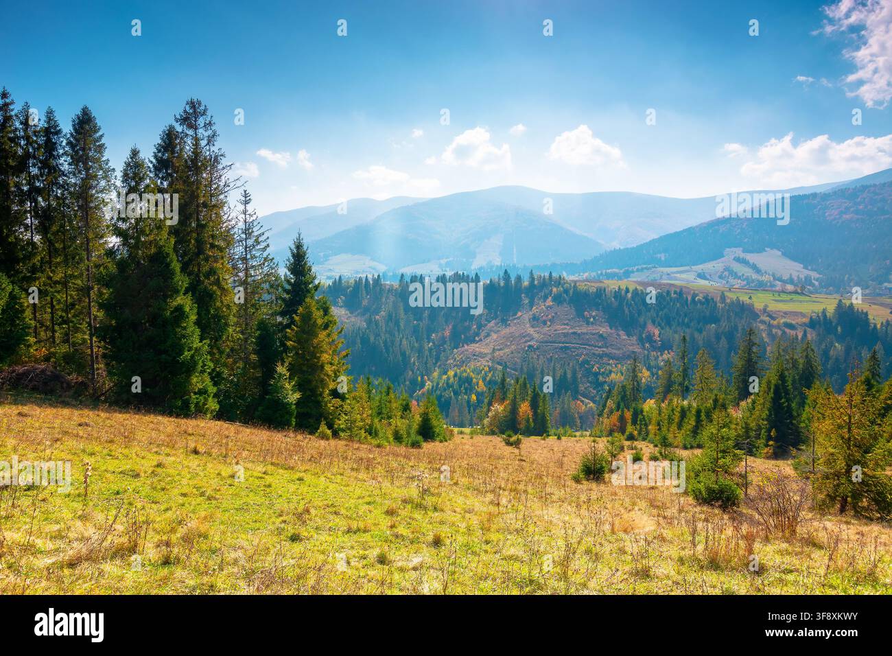 countryside mountain landscape in autumn. weathered grassy field on a hill near forest. rural outdoor adventure background. alpine highland of ukraine Stock Photo
