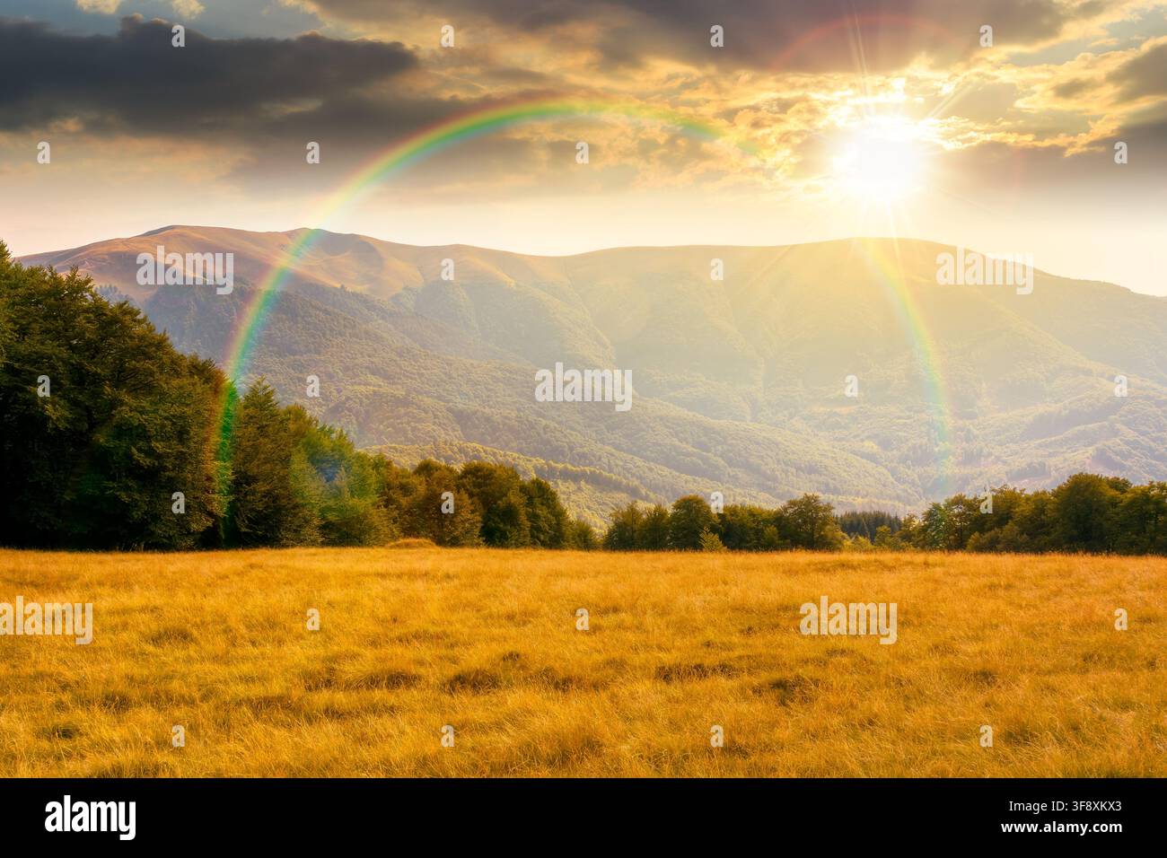 sunset over mountain landscape of ukraine. alpine grassy meadow and deciduous forest on the hill. late summer nature background for carpathian adventu Stock Photo