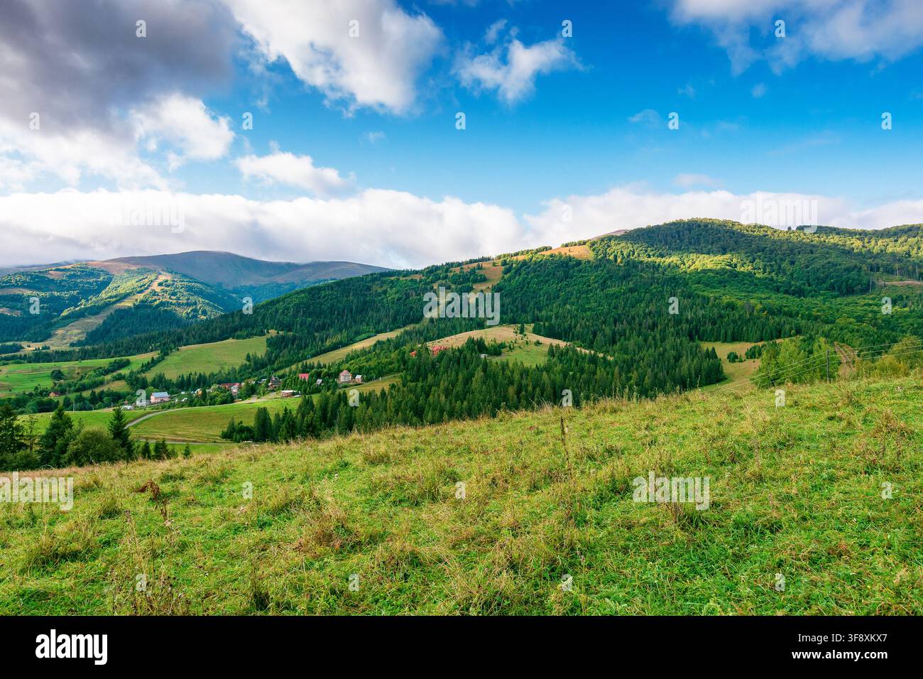 countryside meadow in mountain landscape of ukraine. lush grass fields at the foot of borzhava ridge. beautiful view of transcarpathian scenery in ear Stock Photo
