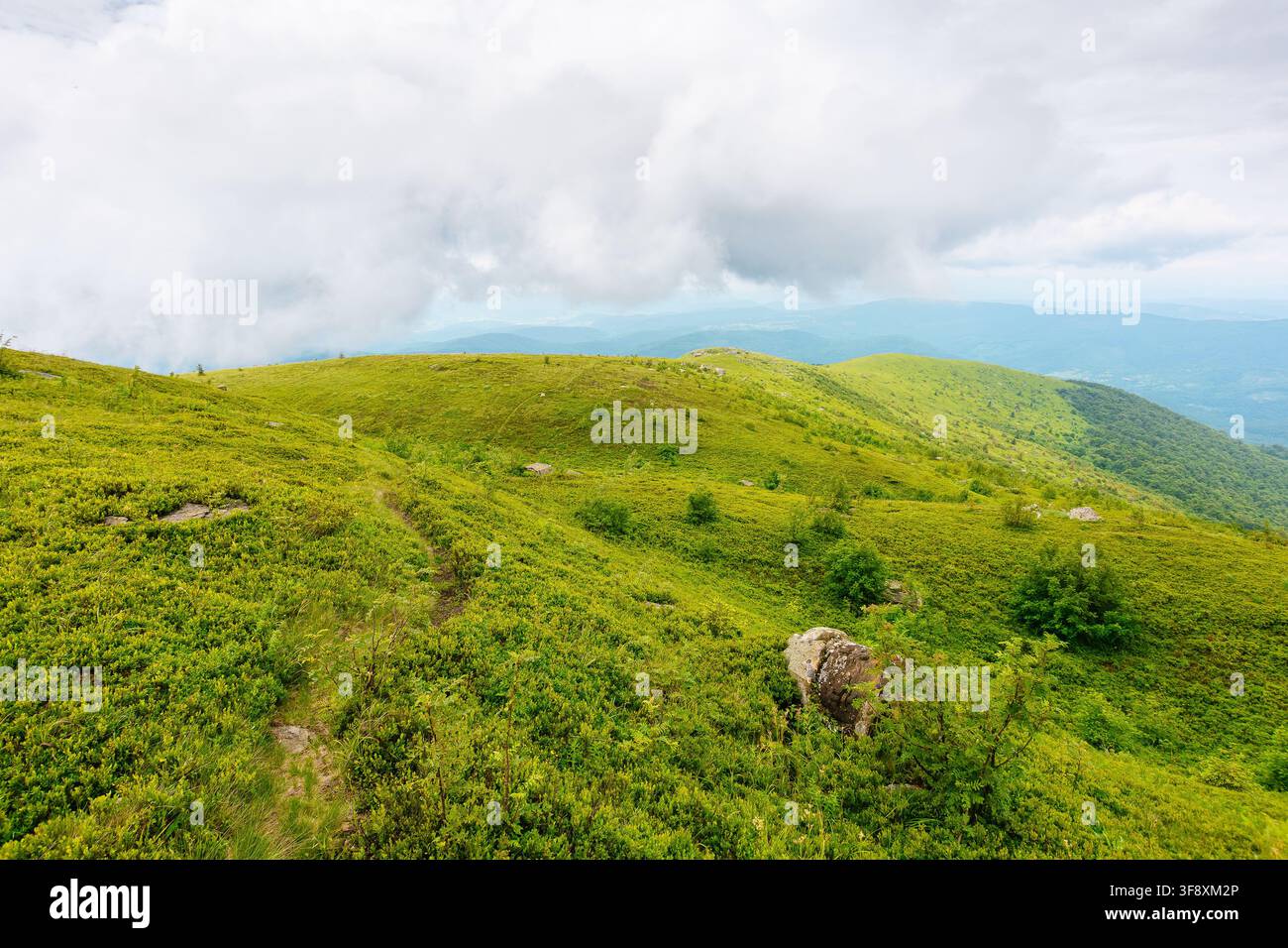 mountain path through green alpine meadow. summer landscape of Ukrainian Carpathians. travel background for hiking Stock Photo