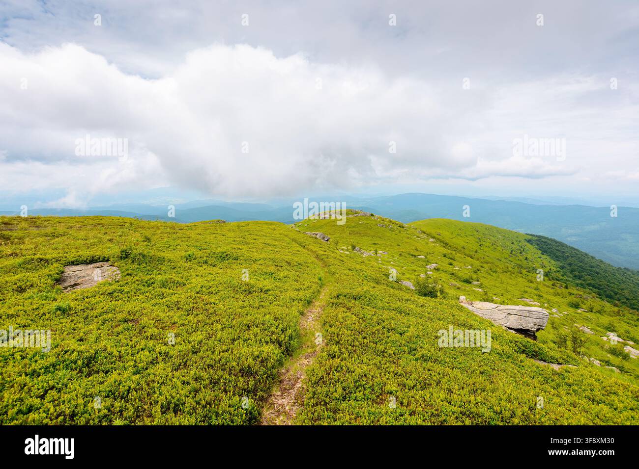 mountain path through green alpine meadow. summer landscape of Ukrainian Carpathians. travel background for hiking Stock Photo