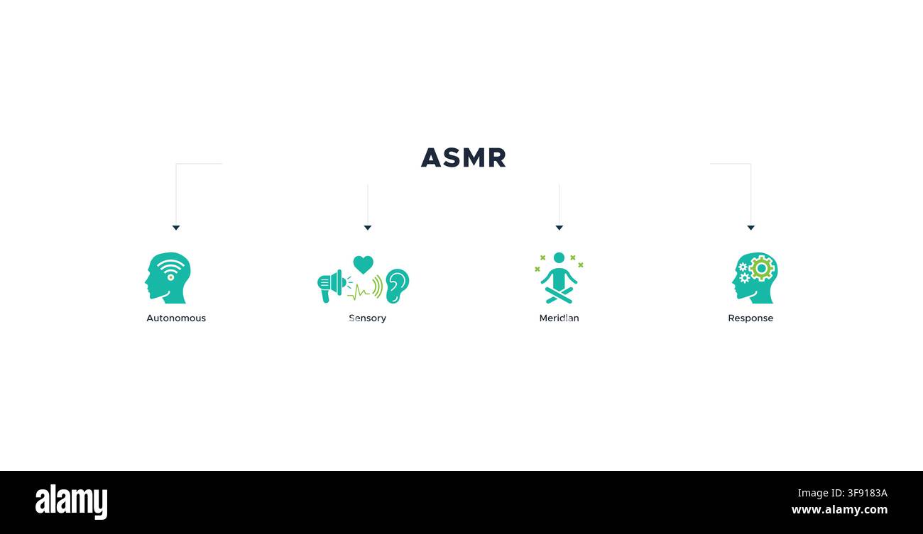 ASMR banner web icon vector illustration concept with icon of autonomous, sensory, meridian and response Stock Vector