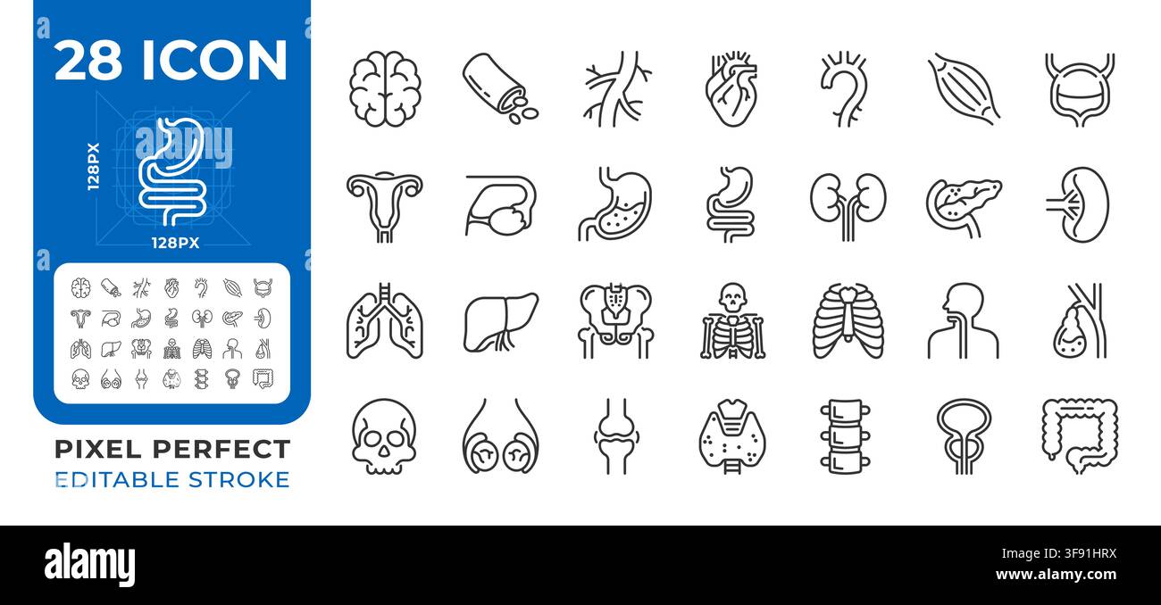 Human organs pixel perfect line icons set Stock Vector