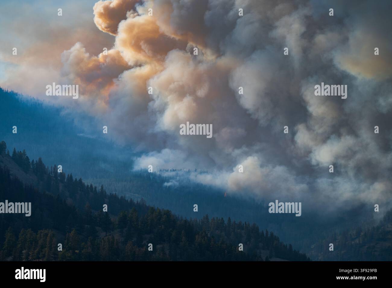 Thick smoke billows from a mountain forest fire Stock Photo