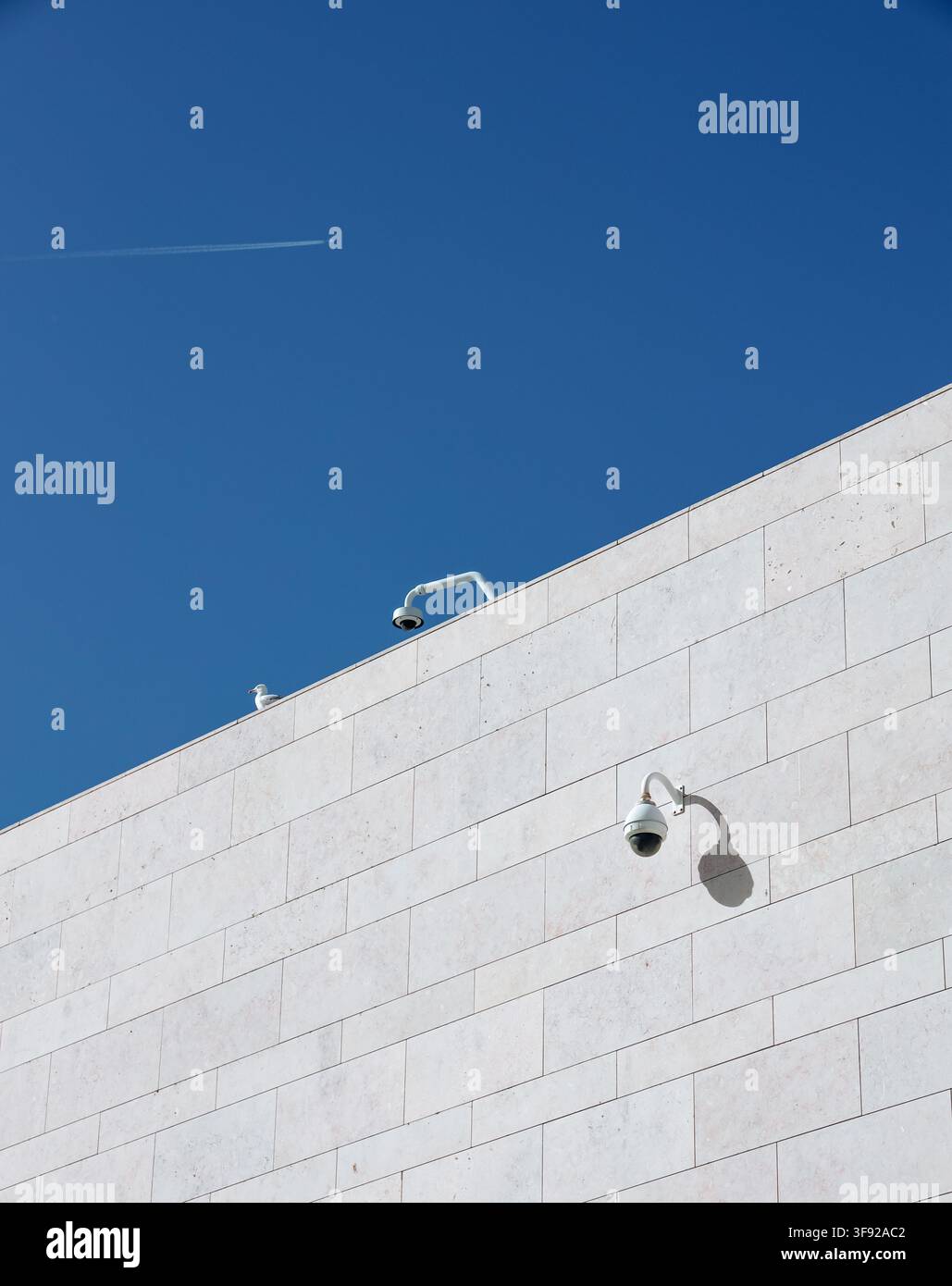 Security cameras and a seagull on a modern building Stock Photo