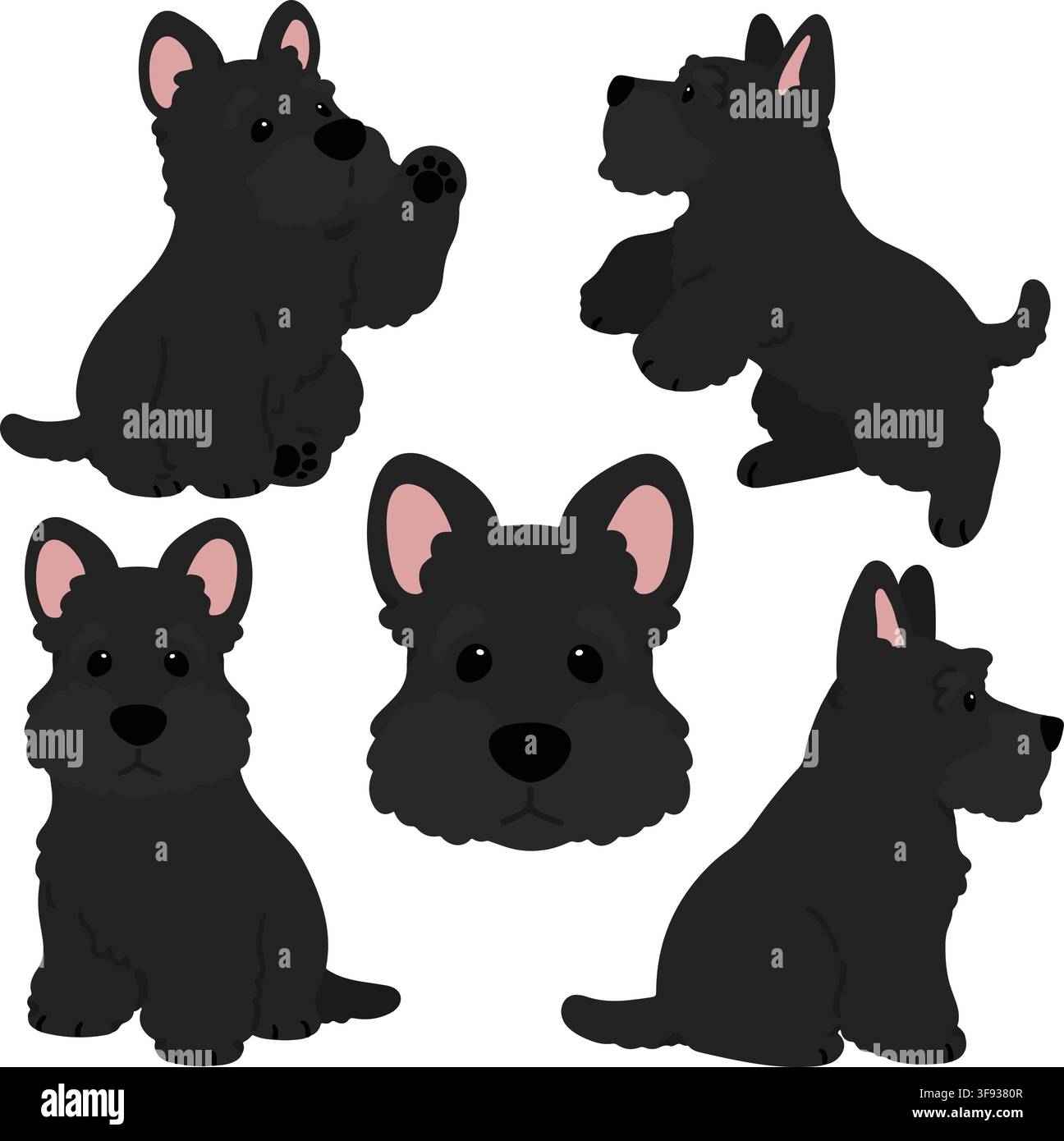 Simple and adorable black Scottish Terrier illustrations flat colored Stock Vector