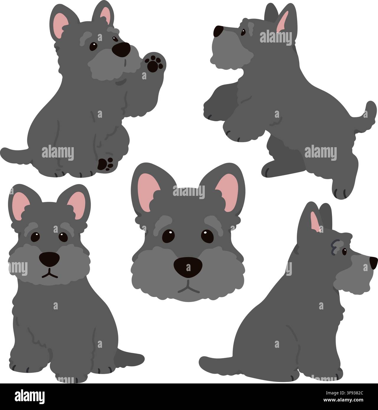 Simple and adorable Scottish Terrier illustrations flat colored Stock Vector