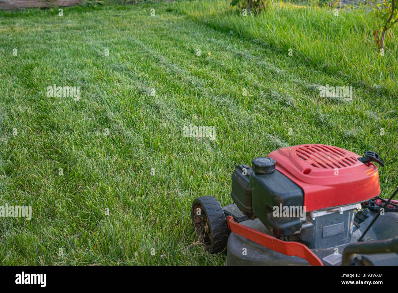 asoline lawn mower standing on freshly cut grass in sunny garden Stock Photo