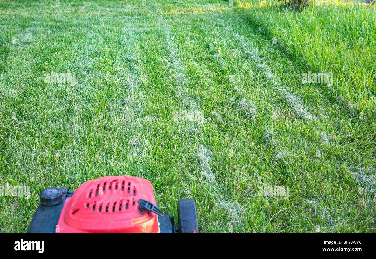 asoline lawn mower standing on freshly cut grass in sunny garden Stock Photo