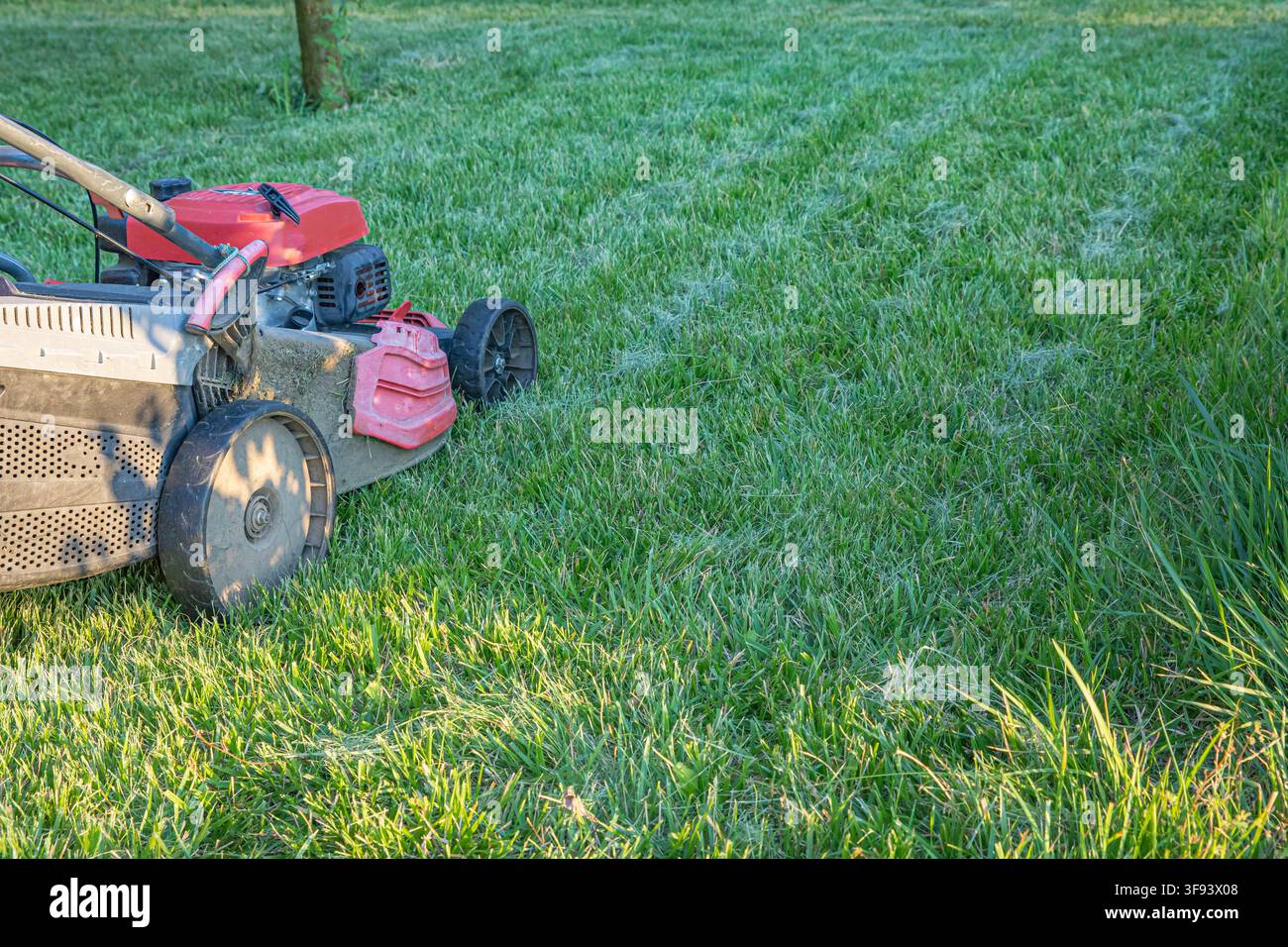 asoline lawn mower standing on freshly cut grass in sunny garden Stock Photo