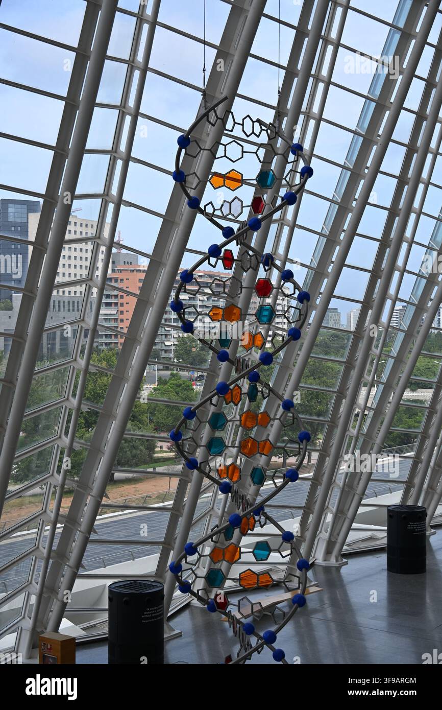 Large DNA Double Helix Model Stock Photo