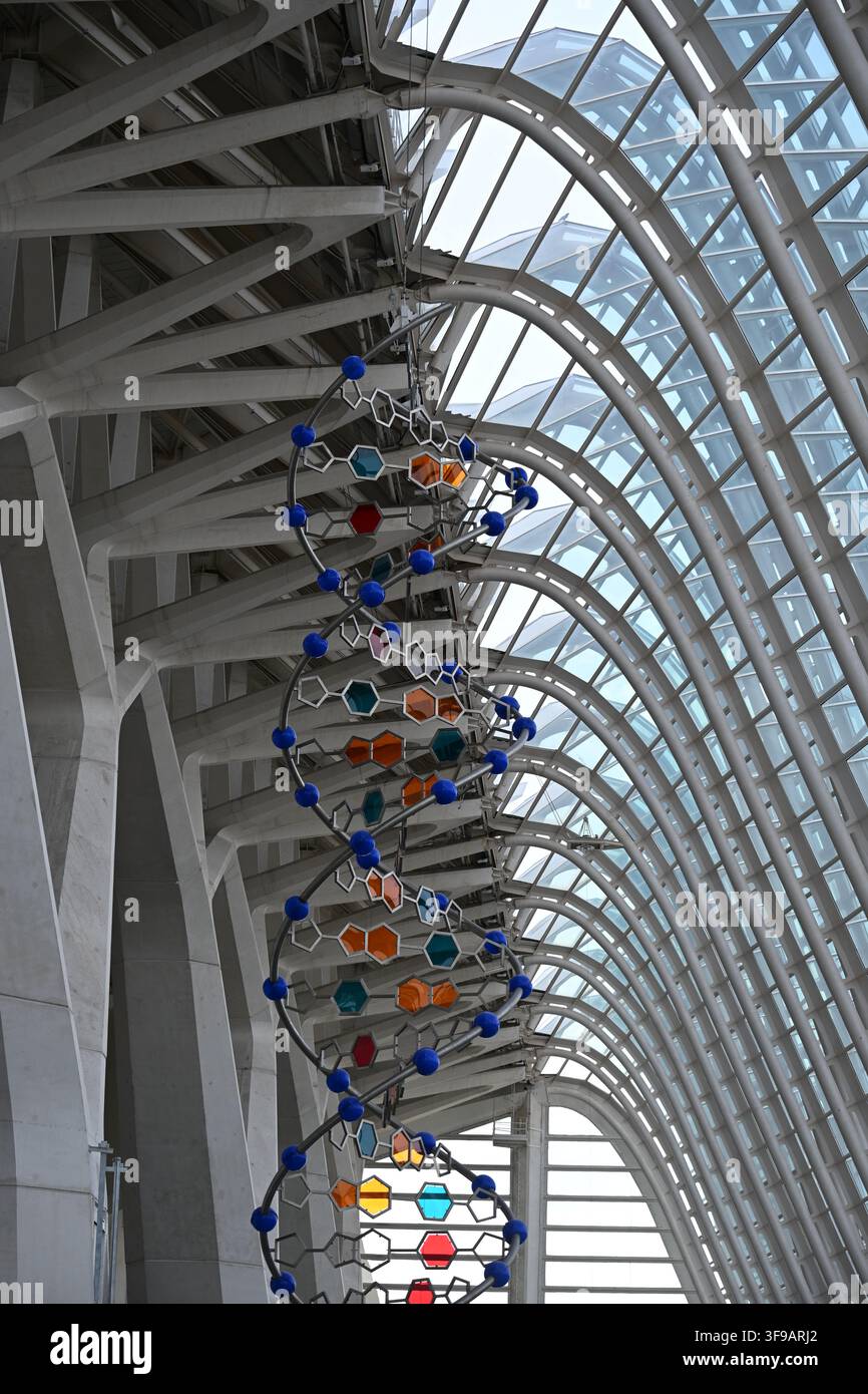 Large DNA Double Helix Model Stock Photo