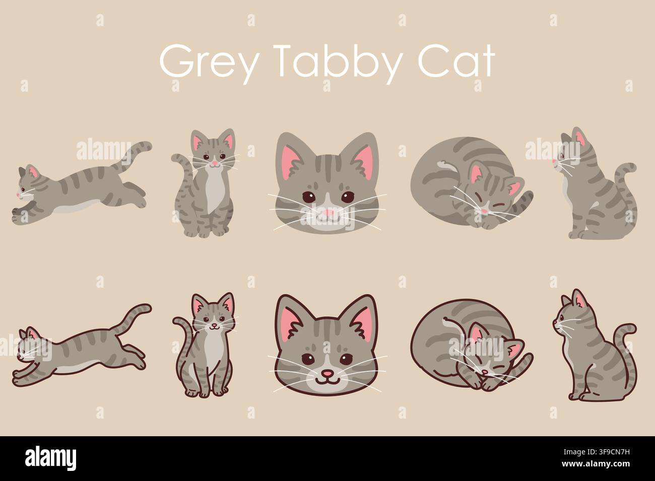 Simple and adorable Grey Tabby Cat illustrations set Stock Vector