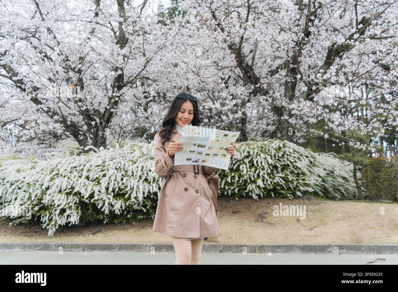 Young female traveler checking a map beneath cherry blossom blooming in garden during springtime at Japan Stock Photo
