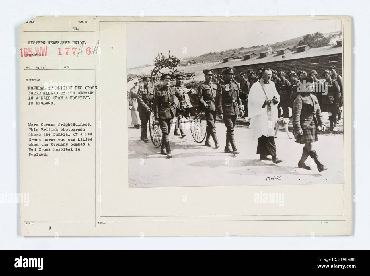 German world war i red cross nurse hi-res stock photography and