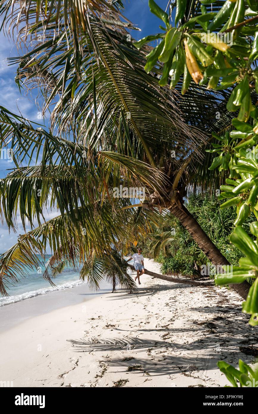 Man sitting on leaning palm tree along sandy beach in Maldives Stock Photo