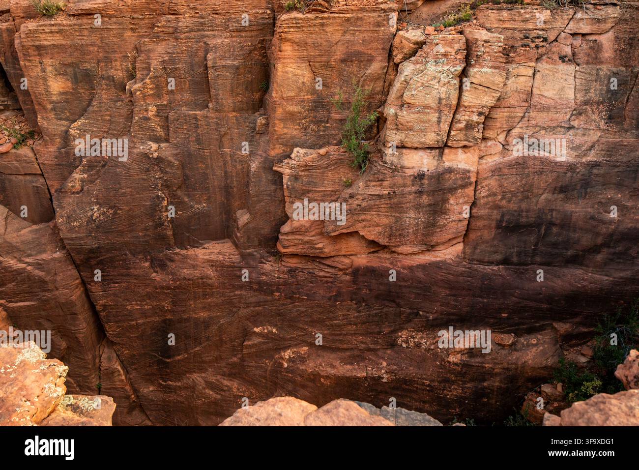 Looking down at a weathered red rock canyon Stock Photo