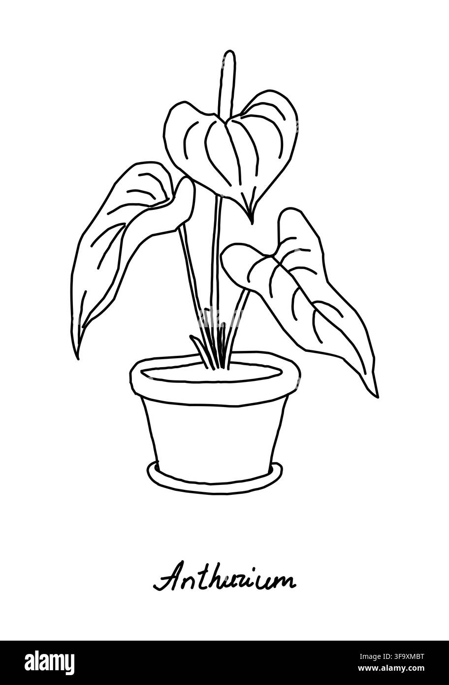 Continuous single line drawing large hi-res stock photography and ...