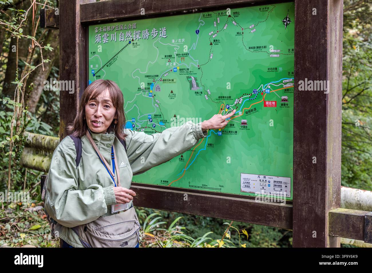 Hiking guide Kotoyo Okugawa points to a map of the Sukumogawa Nature Trail (須雲川自然探勝歩道) in Fuji-Hakone-Izu National Park near Hakone, Kanagawa Prefecture, Japan. The trail follows the historic eastern section of the old Tōkaidō Road between Hakone-Yumoto and Hatajuku. Stock Photo