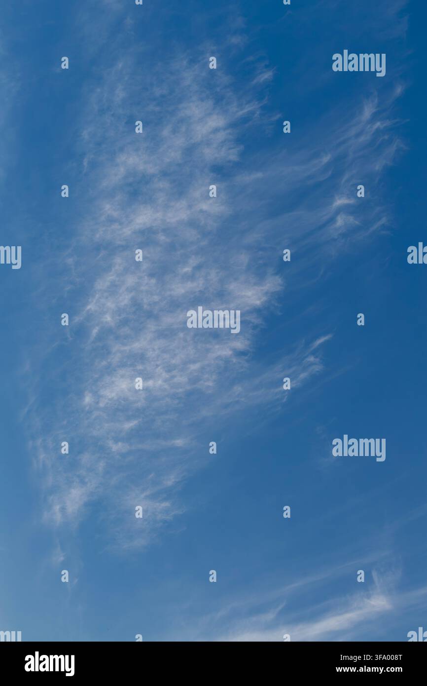 White cirrocumulus and cirrus fibratus clouds drifting in blue sky. Stock Photo