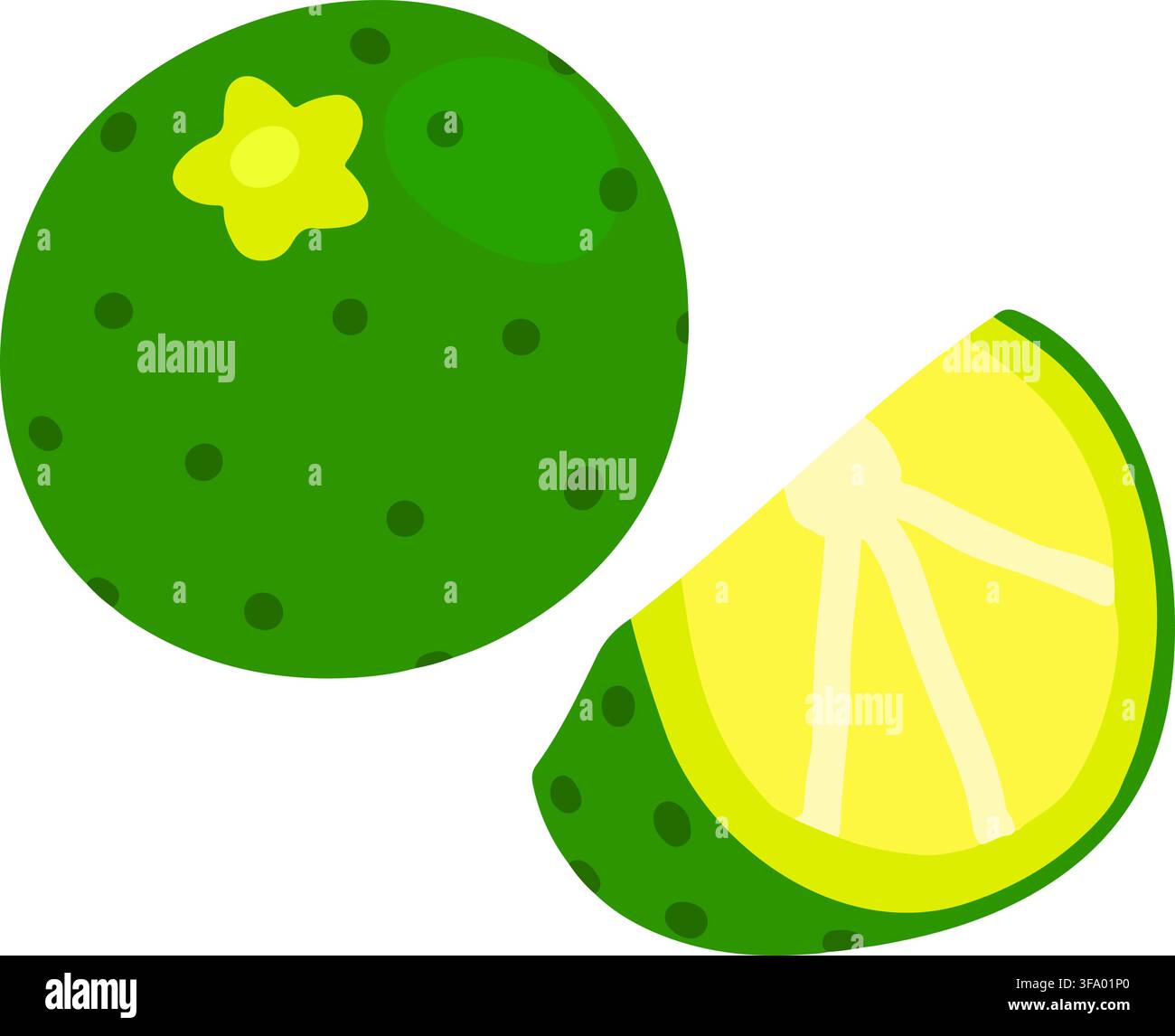 Flat colored simple green lime sliced Stock Vector