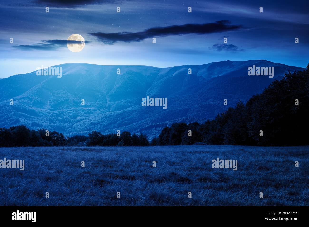 mountain landscape of ukraine at night. full moon over alpine grassy meadow and deciduous forest on the hill. late summer nature background for carpat Stock Photo