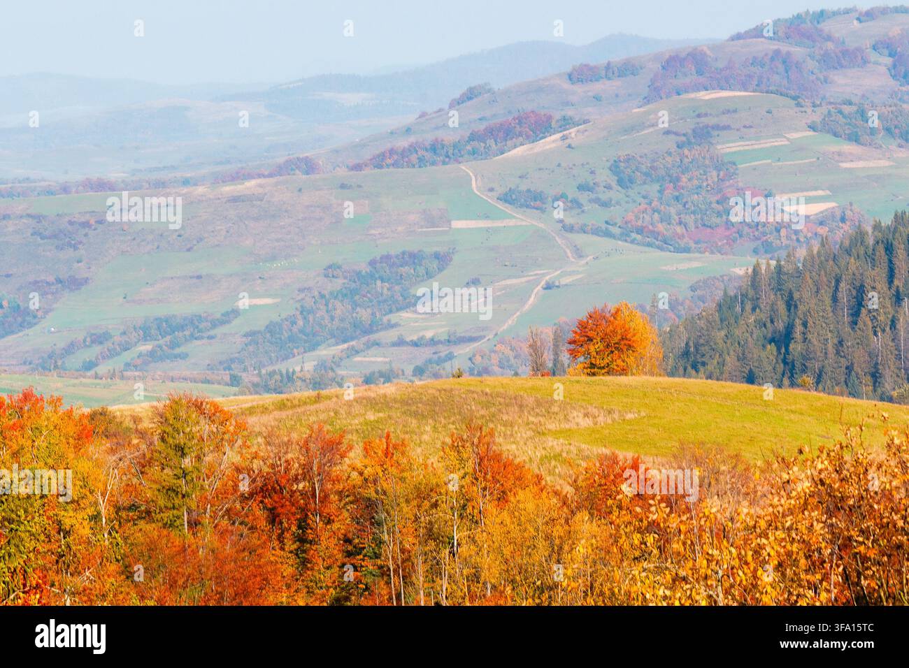 mountainous rural landscape of ukraine in autumn. picturesque highland woods. grassy meadow on a sunny day. carpathian countryside scenery with colorf Stock Photo