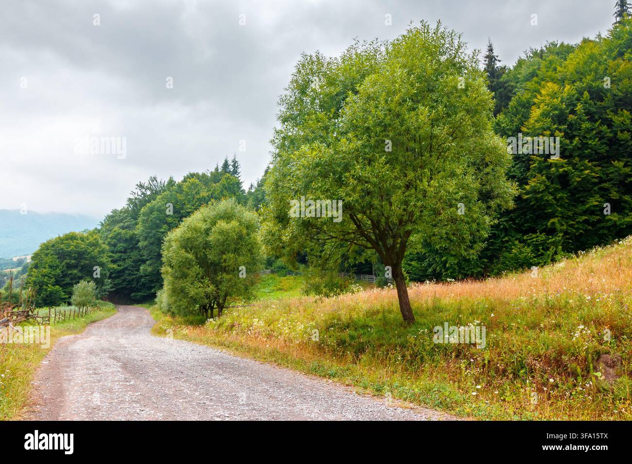 rural landscape. fence near road through field and forest to the high mountains. countryside scenery of ukraine in summer with overcast sky Stock Photo
