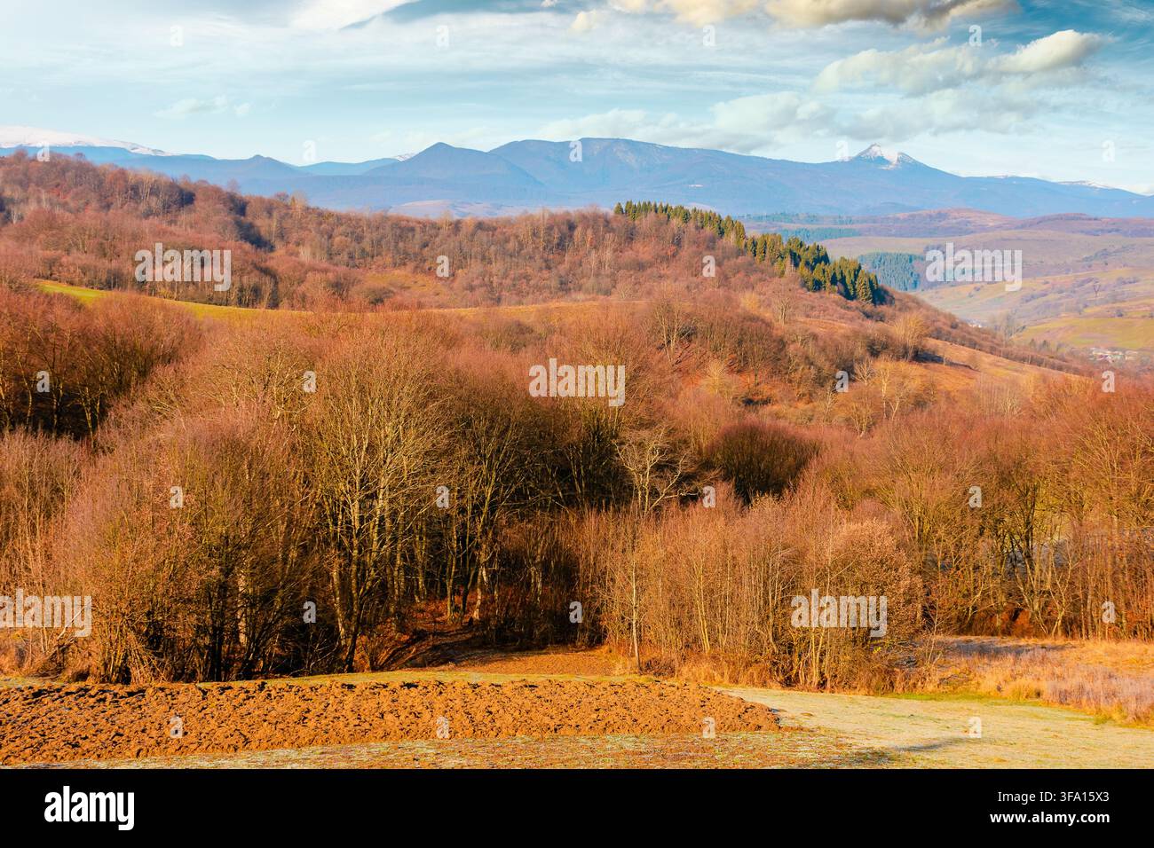 beautiful autumn forenoon in mountains. trees on a hill in fall colors. wonderful countryside landscape of Ukraine on a sunny weather Stock Photo