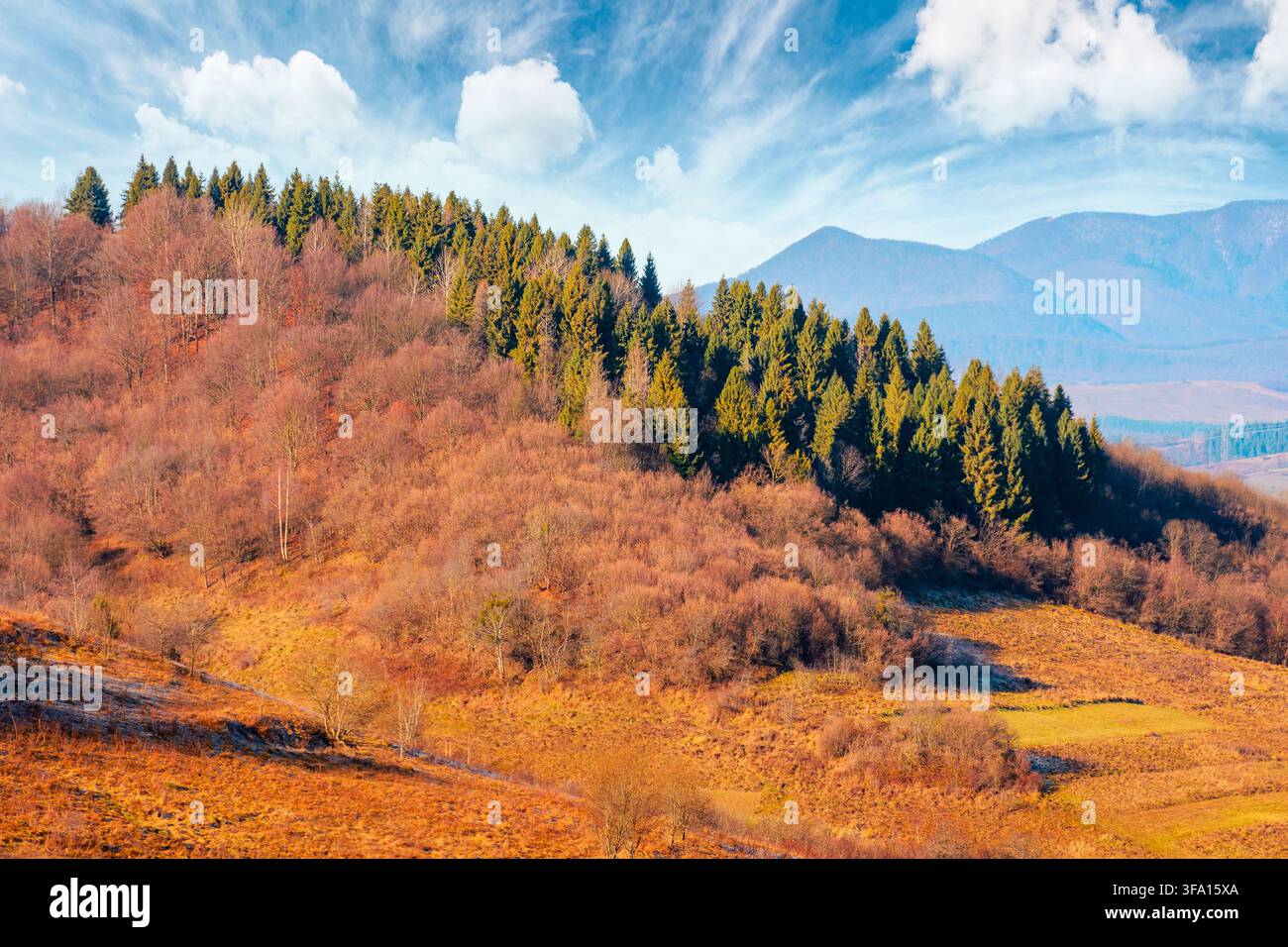 beautiful autumn forenoon in mountains. trees on a hill in fall colors. wonderful countryside landscape of Ukraine on a sunny weather Stock Photo