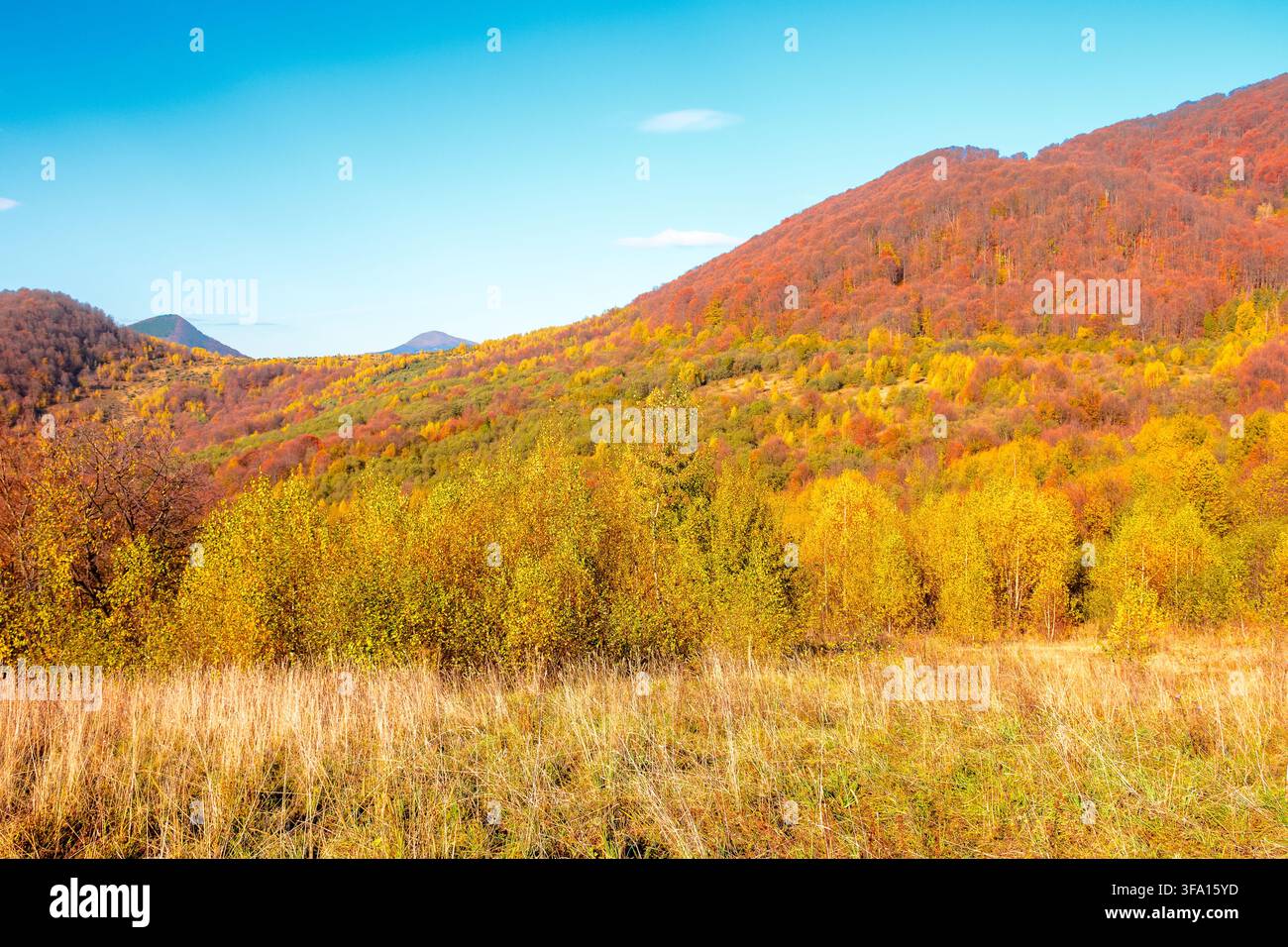 countryside landscape in mountains. beautiful view of carpathians with meadows rolling through forested hills. wonderful weather in autumn. deciduous Stock Photo