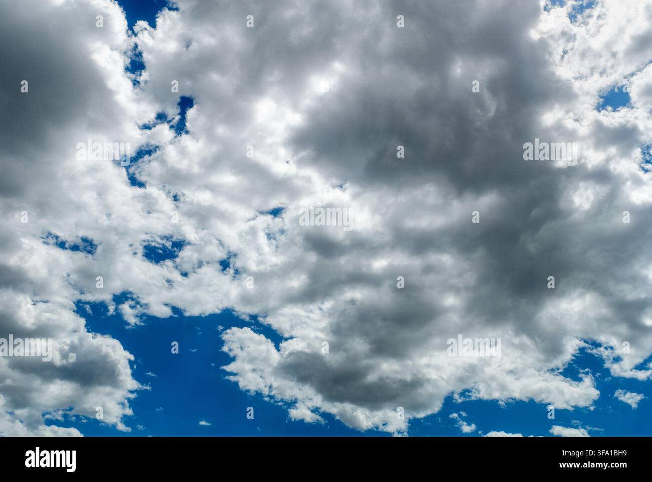 beautiful sky filled with fluffy white and dark dramatic cumulus clouds blocking the sun, creating high contrast with a vivid blue background. Stock Photo