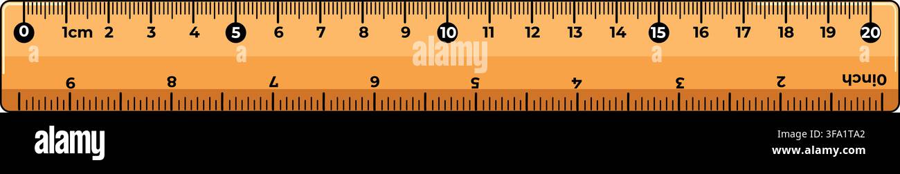 20 Centimeter and 10 Inch Measuring Ruler Stock Vector